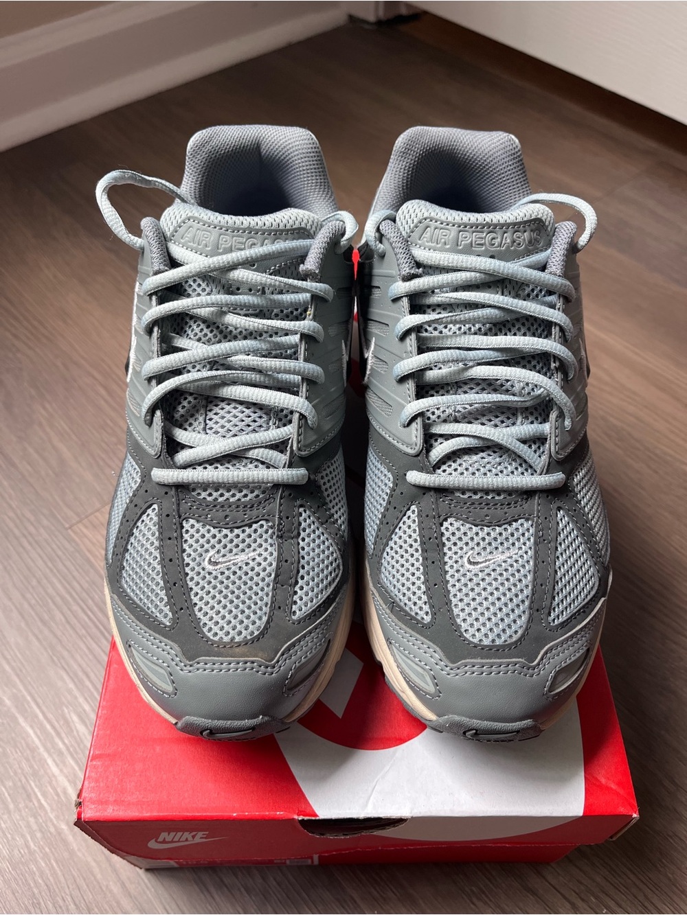 Nike Air Pegasus 2005